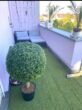 ++NEU IM ANGEBOT++ Exklusive Penthousewohnung mit großer Dachterrasse in Bestlage von LÖ-Stetten - Dachterrasse